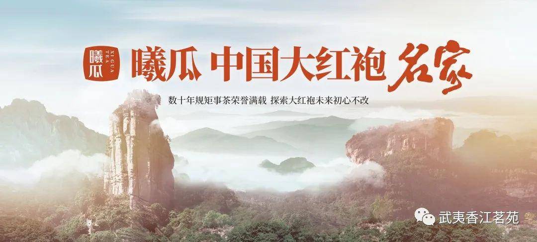 中国大红袍名家.jpg